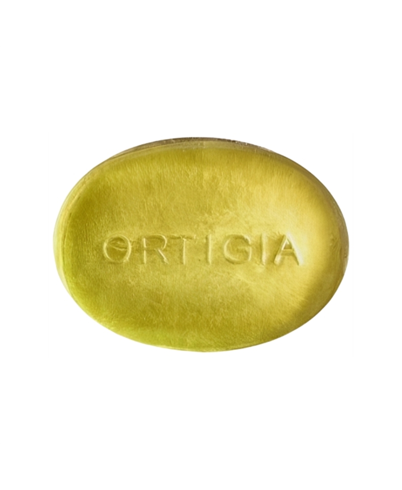 8033219951360-30-PhotoRoom.png-PhotoRoom-469x617