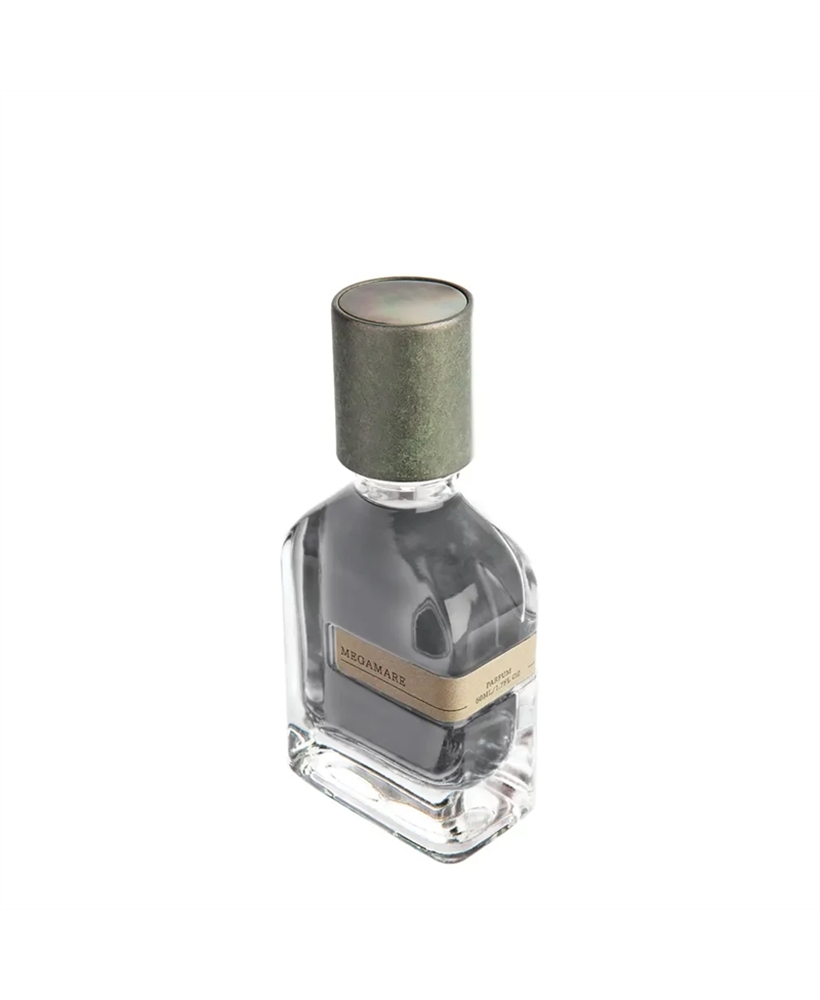 02_orto_parisi_megamare_2