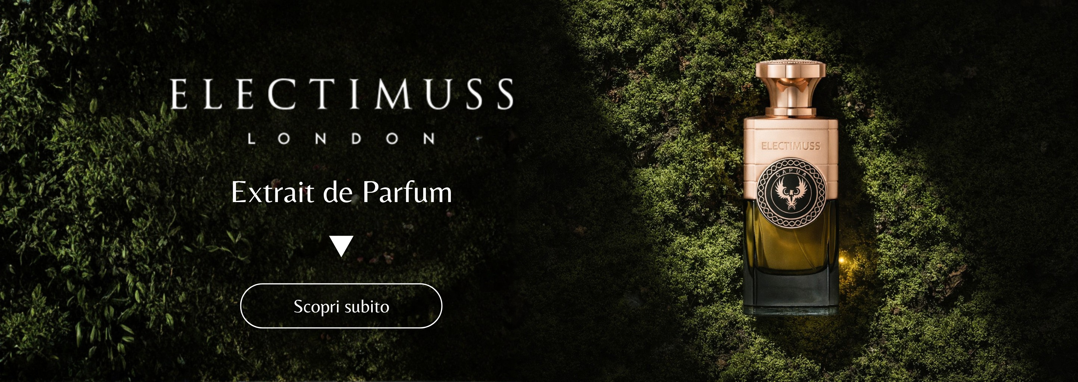 ELECTIMUSS